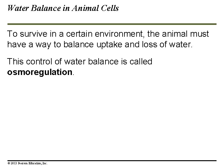 Water Balance in Animal Cells To survive in a certain environment, the animal must