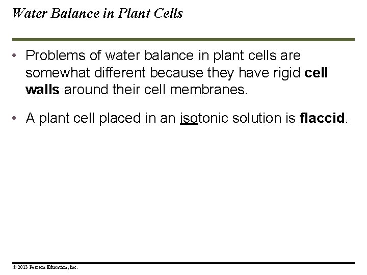 Water Balance in Plant Cells • Problems of water balance in plant cells are