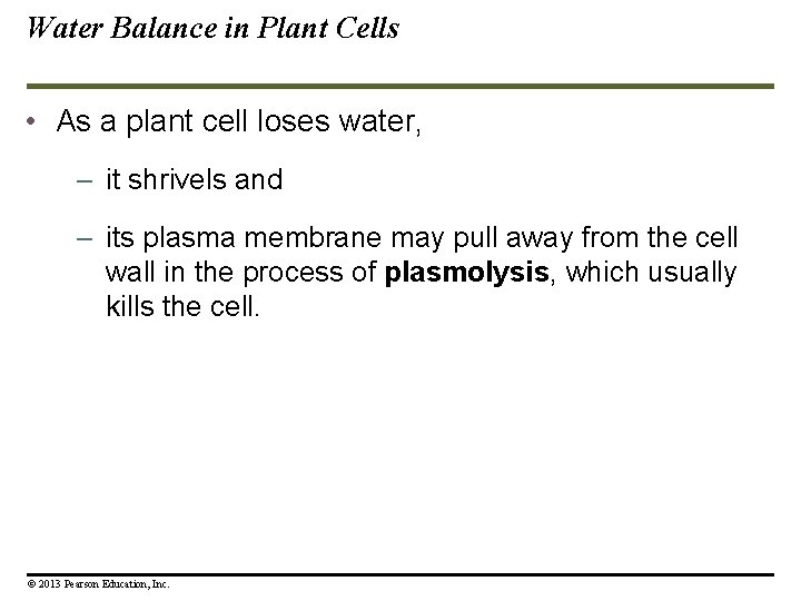 Water Balance in Plant Cells • As a plant cell loses water, – it