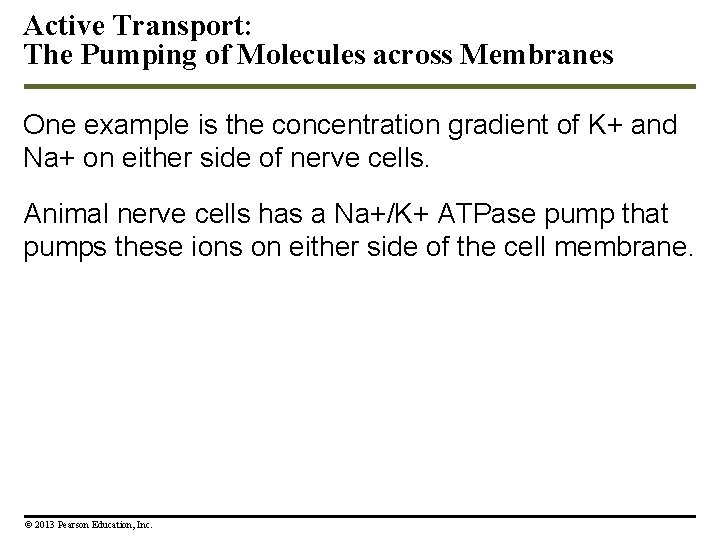 Active Transport: The Pumping of Molecules across Membranes One example is the concentration gradient