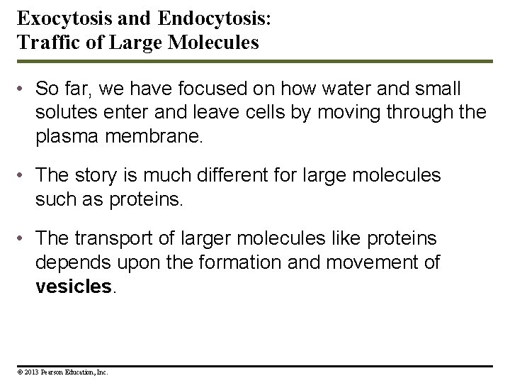 Exocytosis and Endocytosis: Traffic of Large Molecules • So far, we have focused on