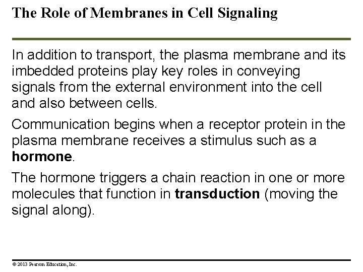 The Role of Membranes in Cell Signaling In addition to transport, the plasma membrane