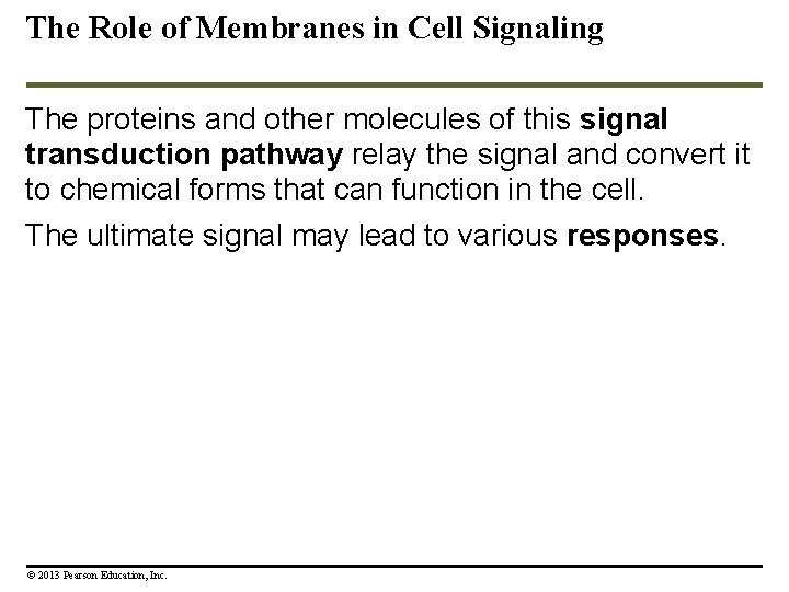 The Role of Membranes in Cell Signaling The proteins and other molecules of this