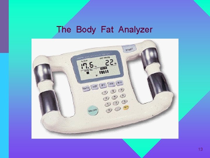 The Body Fat Analyzer 13 