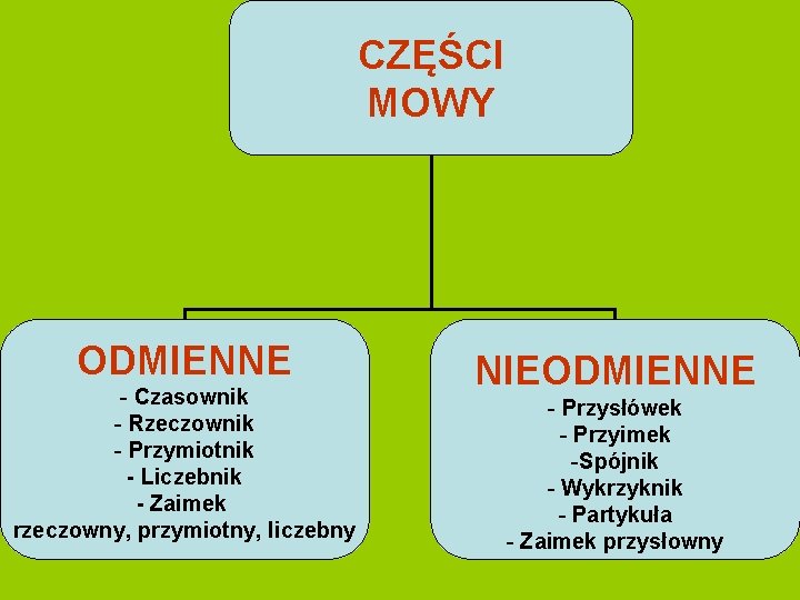 CZĘŚCI MOWY ODMIENNE - Czasownik - Rzeczownik - Przymiotnik - Liczebnik - Zaimek rzeczowny,