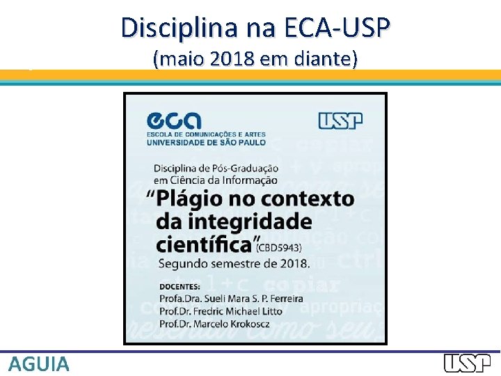 Disciplina na ECA-USP (maio 2018 em diante) 