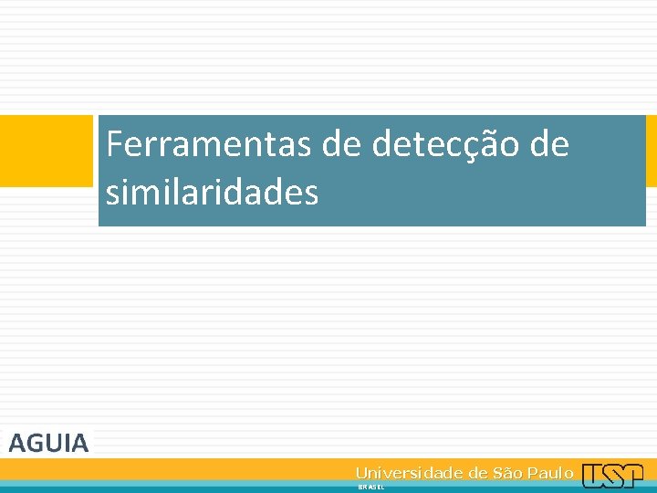 Ferramentas de detecção de similaridades Universidade de São Paulo BRASIL 