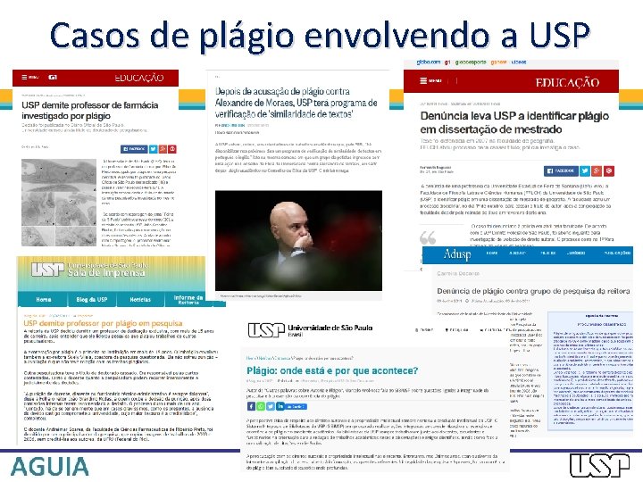 Casos de plágio envolvendo a USP 