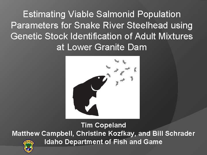 Estimating Viable Salmonid Population Parameters for Snake River