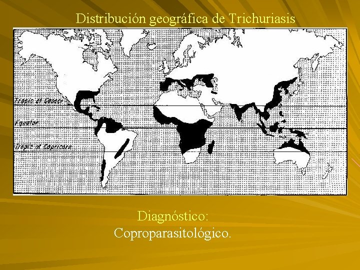 Distribución geográfica de Trichuriasis Diagnóstico: Coproparasitológico. 
