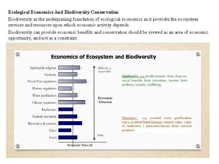 Ecological Economics And Biodiversity Conservation Biodiversity as the underpinning foundation of ecological economics as