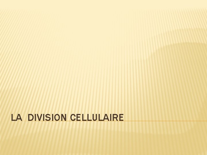 LA DIVISION CELLULAIRE LA DIVISION CELLULAIRE