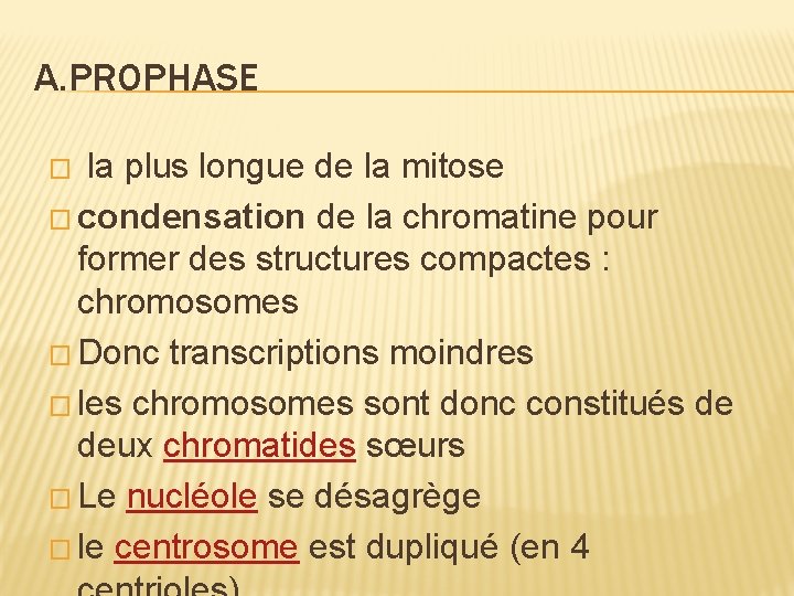A. PROPHASE la plus longue de la mitose � condensation de la chromatine pour A. PROPHASE la plus longue de la mitose � condensation de la chromatine pour