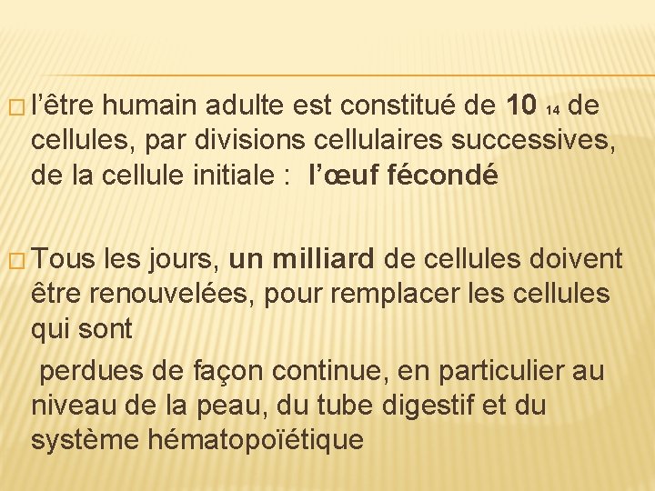 � l’être humain adulte est constitué de 10 14 de cellules, par divisions cellulaires � l’être humain adulte est constitué de 10 14 de cellules, par divisions cellulaires