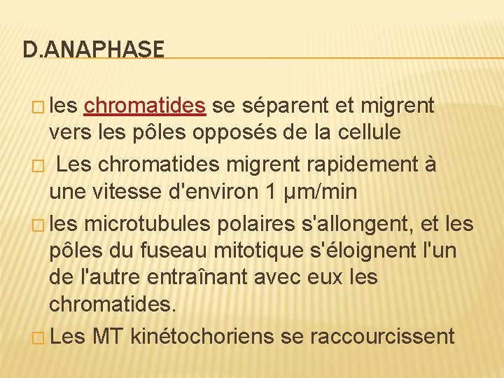 D. ANAPHASE � les chromatides se séparent et migrent vers les pôles opposés de D. ANAPHASE � les chromatides se séparent et migrent vers les pôles opposés de