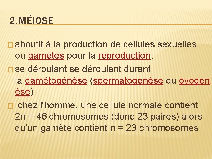 2. MÉIOSE � aboutit à la production de cellules sexuelles ou gamètes pour la 2. MÉIOSE � aboutit à la production de cellules sexuelles ou gamètes pour la