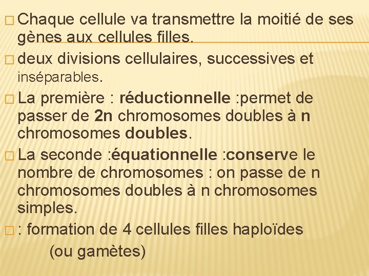 � Chaque cellule va transmettre la moitié de ses gènes aux cellules filles. � � Chaque cellule va transmettre la moitié de ses gènes aux cellules filles. �