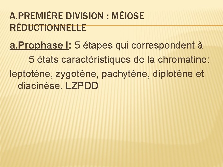 A. PREMIÈRE DIVISION : MÉIOSE RÉDUCTIONNELLE a. Prophase I: 5 étapes qui correspondent à A. PREMIÈRE DIVISION : MÉIOSE RÉDUCTIONNELLE a. Prophase I: 5 étapes qui correspondent à