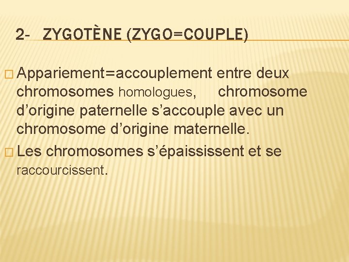 2 - ZYGOTÈNE (ZYGO=COUPLE) � Appariement=accouplement entre deux chromosomes homologues, chromosome d’origine paternelle s’accouple 2 - ZYGOTÈNE (ZYGO=COUPLE) � Appariement=accouplement entre deux chromosomes homologues, chromosome d’origine paternelle s’accouple