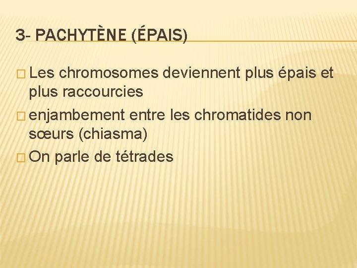 3 - PACHYTÈNE (ÉPAIS) � Les chromosomes deviennent plus épais et plus raccourcies � 3 - PACHYTÈNE (ÉPAIS) � Les chromosomes deviennent plus épais et plus raccourcies �