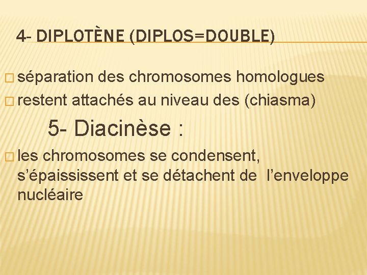 4 - DIPLOTÈNE (DIPLOS=DOUBLE) � séparation des chromosomes homologues � restent attachés au niveau 4 - DIPLOTÈNE (DIPLOS=DOUBLE) � séparation des chromosomes homologues � restent attachés au niveau