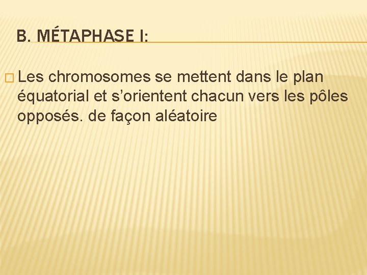 B. MÉTAPHASE I: � Les chromosomes se mettent dans le plan équatorial et s’orientent B. MÉTAPHASE I: � Les chromosomes se mettent dans le plan équatorial et s’orientent