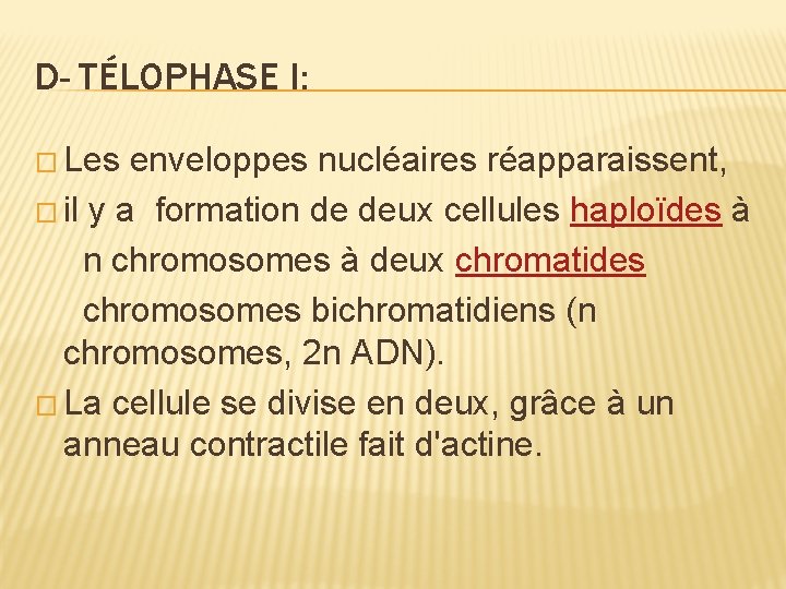 D- TÉLOPHASE I: � Les enveloppes nucléaires réapparaissent, � il y a formation de D- TÉLOPHASE I: � Les enveloppes nucléaires réapparaissent, � il y a formation de