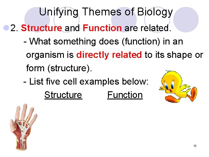 Unifying Themes of Biology l 2. Structure and Function are related. - What something