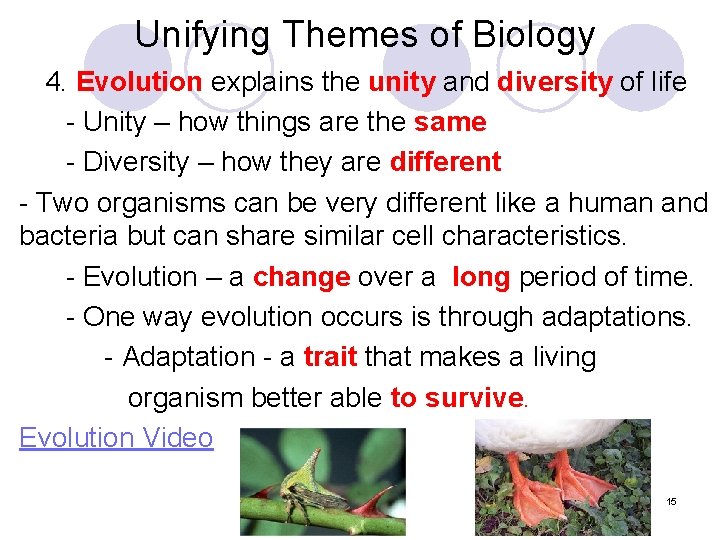 Unifying Themes of Biology 4. Evolution explains the unity and diversity of life -