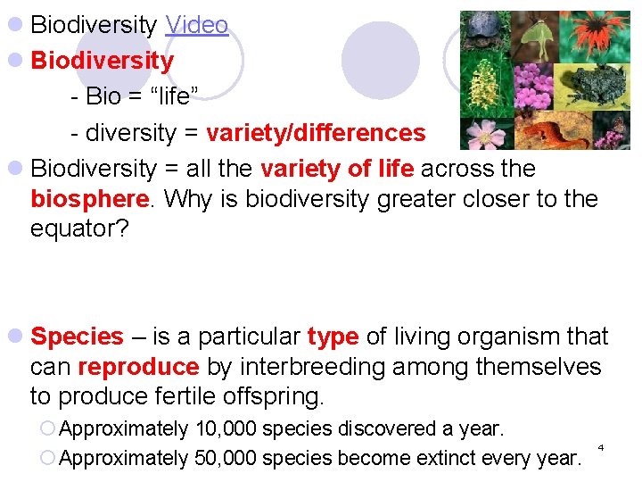 l Biodiversity Video l Biodiversity - Bio = “life” - diversity = variety/differences l