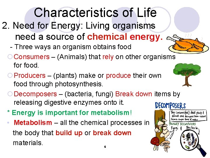 Characteristics of Life 2. Need for Energy: Living organisms need a source of chemical