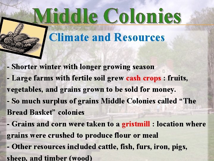 Middle Colony Climate 13 Life Colonies in early America Englands Thirteen