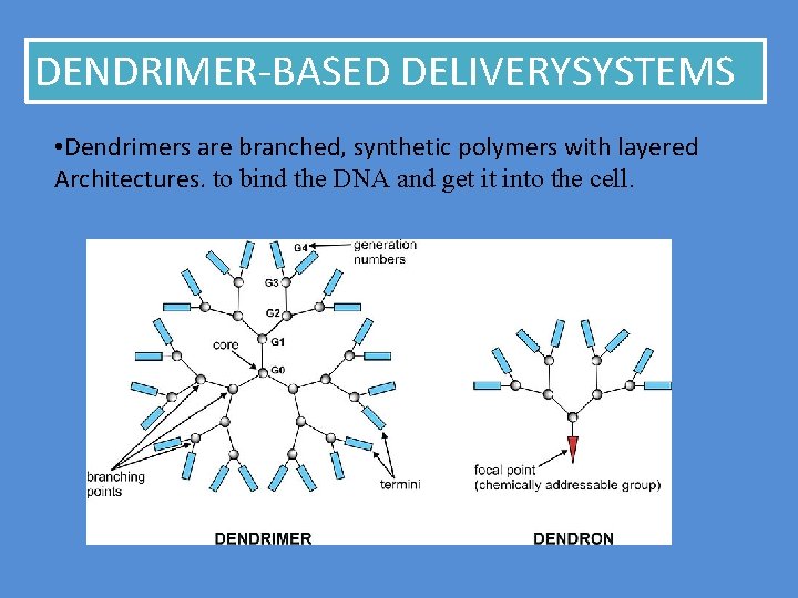 DENDRIMER-BASED DELIVERYSYSTEMS • Dendrimers are branched, synthetic polymers with layered Architectures. to bind the