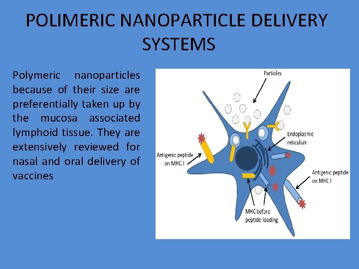 POLIMERIC NANOPARTICLE DELIVERY SYSTEMS Polymeric nanoparticles because of their size are preferentially taken up