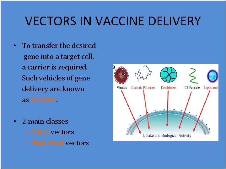 VECTORS IN VACCINE DELIVERY • To transfer the desired gene into a target cell,