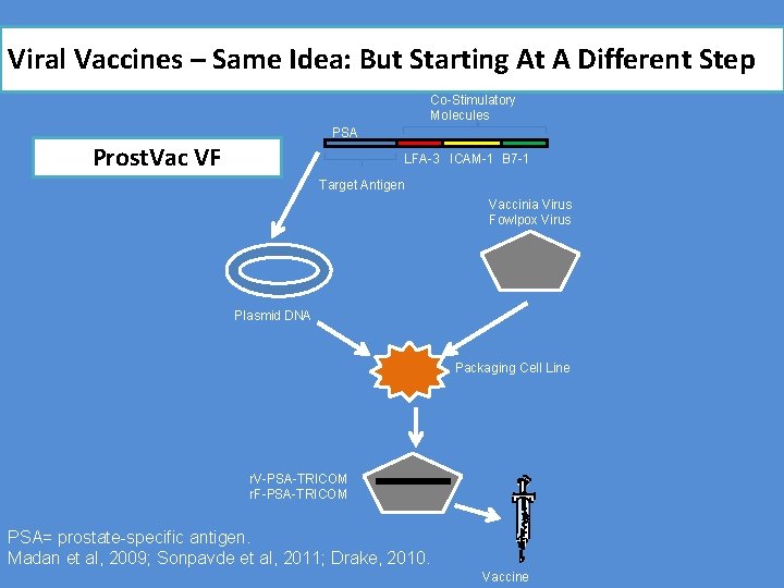 Viral Vaccines – Same Idea: But Starting At A Different Step Co-Stimulatory Molecules PSA