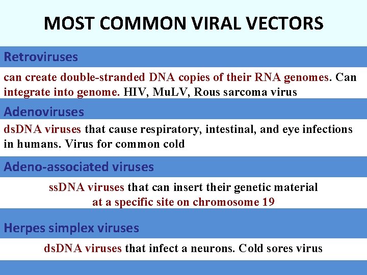 MOST COMMON VIRAL VECTORS Retroviruses can create double-stranded DNA copies of their RNA genomes.
