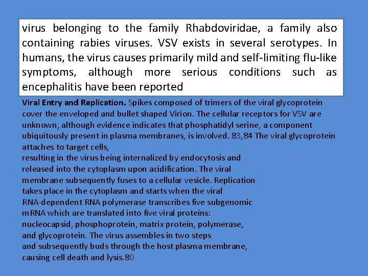 virus belonging to the family Rhabdoviridae, a family also containing rabies viruses. VSV exists