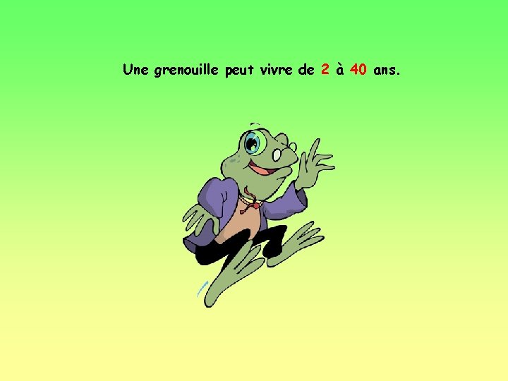 Une grenouille peut vivre de 2 à 40 ans. 