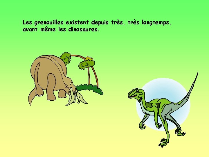 Les grenouilles existent depuis très, très longtemps, avant même les dinosaures. 