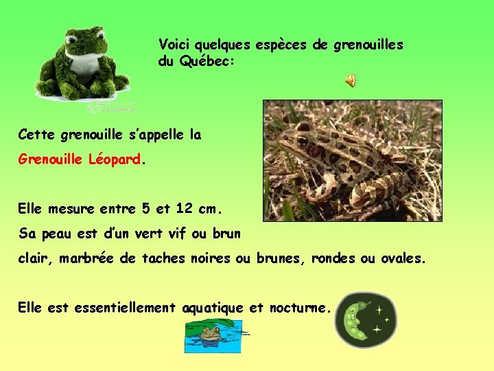 Voici quelques espèces de grenouilles du Québec: Cette grenouille s’appelle la Grenouille Léopard. Elle