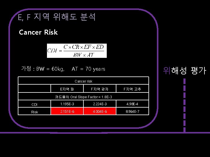 E, F 지역 위해도 분석 Cancer Risk 가정 : BW = 60 kg, 위해성