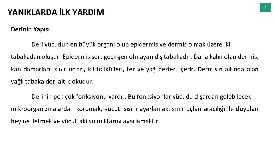 YANIKLARDA İLK YARDIM Derinin Yapısı Deri vücudun en büyük organı olup epidermis ve dermis