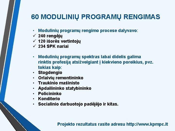 60 MODULINIŲ PROGRAMŲ RENGIMAS • ü ü ü Modulinių programų rengimo procese dalyvavo: 240