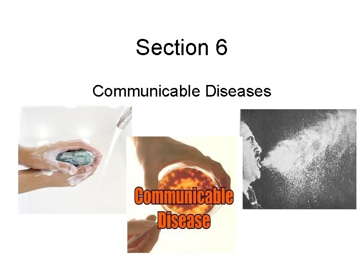 Section 6 Communicable Diseases 