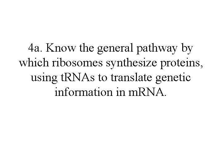 4 a. Know the general pathway by which ribosomes synthesize proteins, using t. RNAs