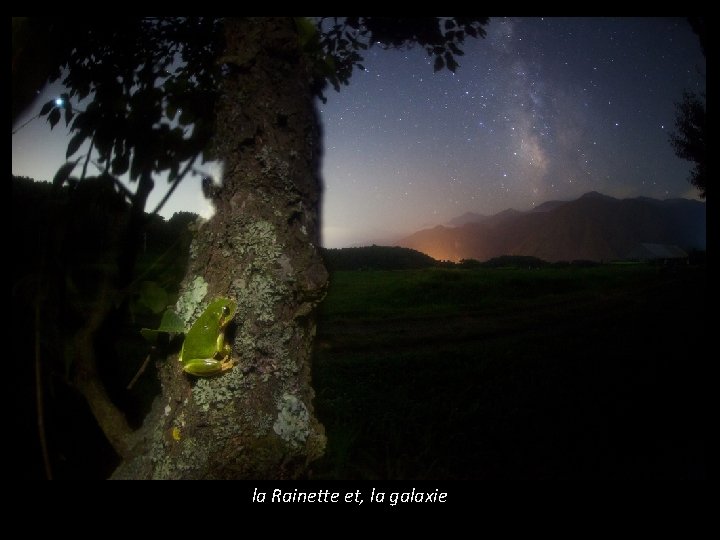 la Rainette et, la galaxie 