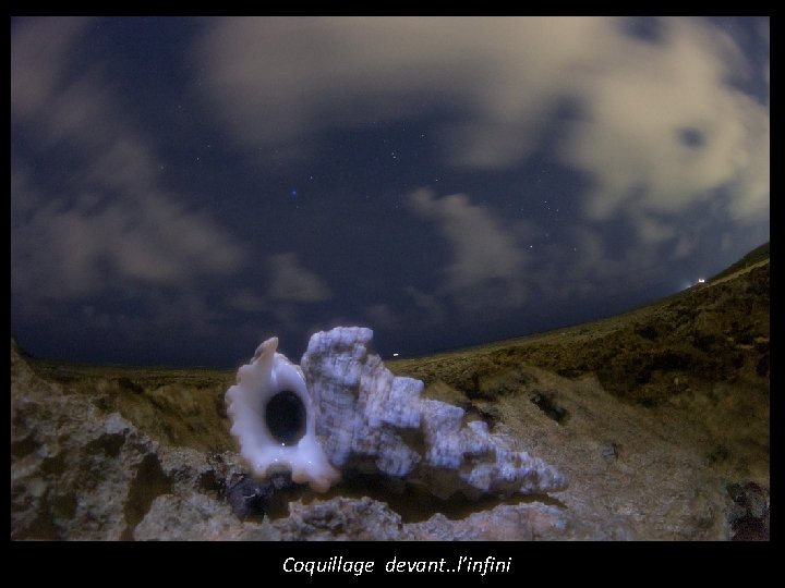 Coquillage devant. . l’infini 