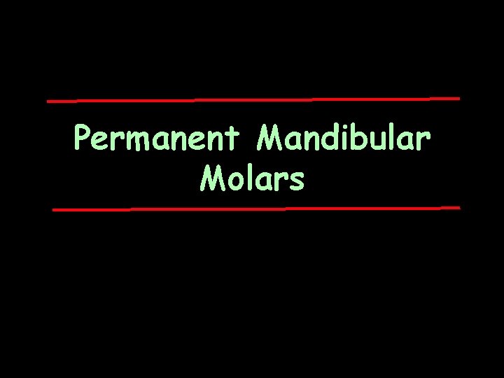 Permanent Mandibular Molars 