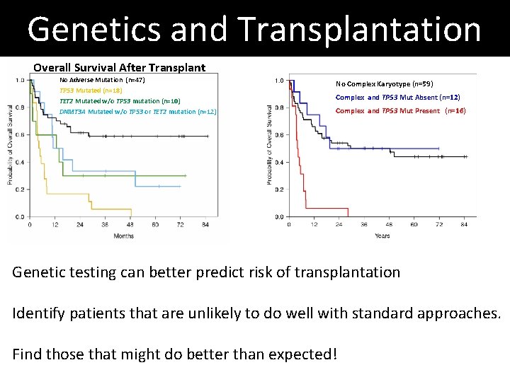 Genetics and Transplantation Overall Survival After Transplant No Adverse Mutation (n=47) TP 53 Mutated Genetics and Transplantation Overall Survival After Transplant No Adverse Mutation (n=47) TP 53 Mutated